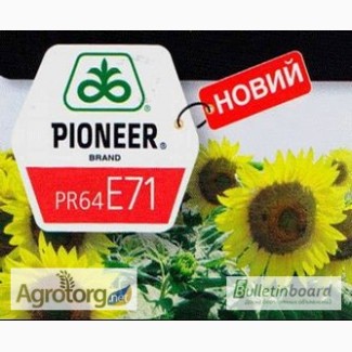 Семена ПР64E71 Пионер. Доступная цена