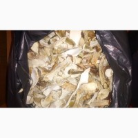 Продам белые грибы сушеные.Продам білі гриби сушені
