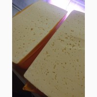 Сыр твердый (продукт)