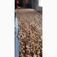 Продаём грецкий орех от тонны