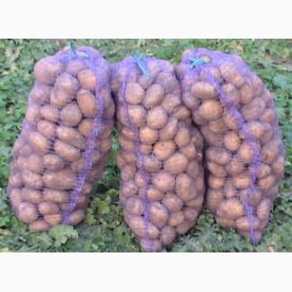 Продам картофель оптом из песка, доставляем по всей Украине