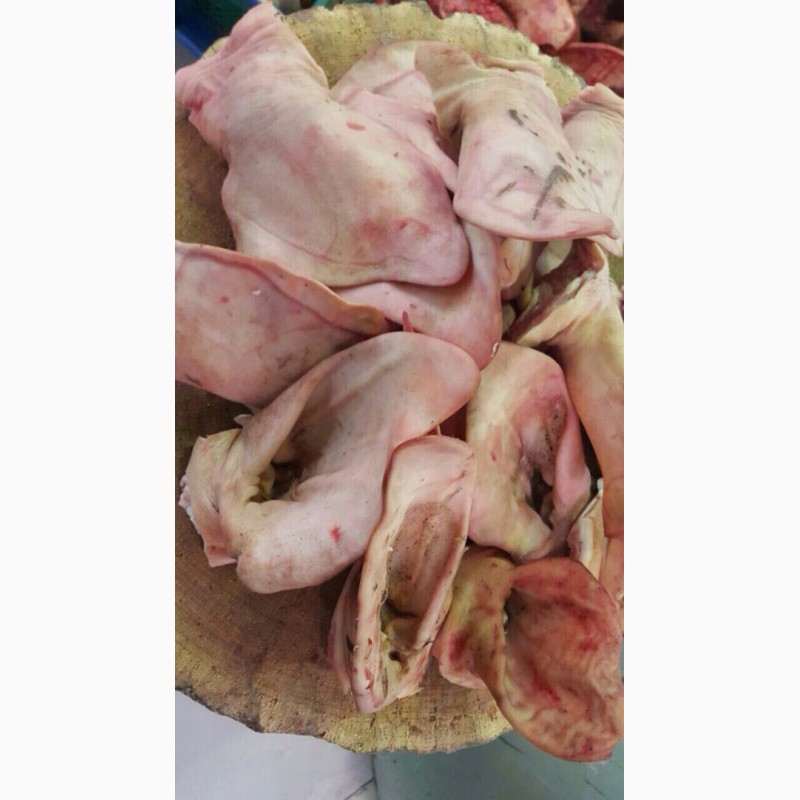 Фото 3. ООО« Амтек Трейд» предлагает замороженные свиные уши и хвосты
