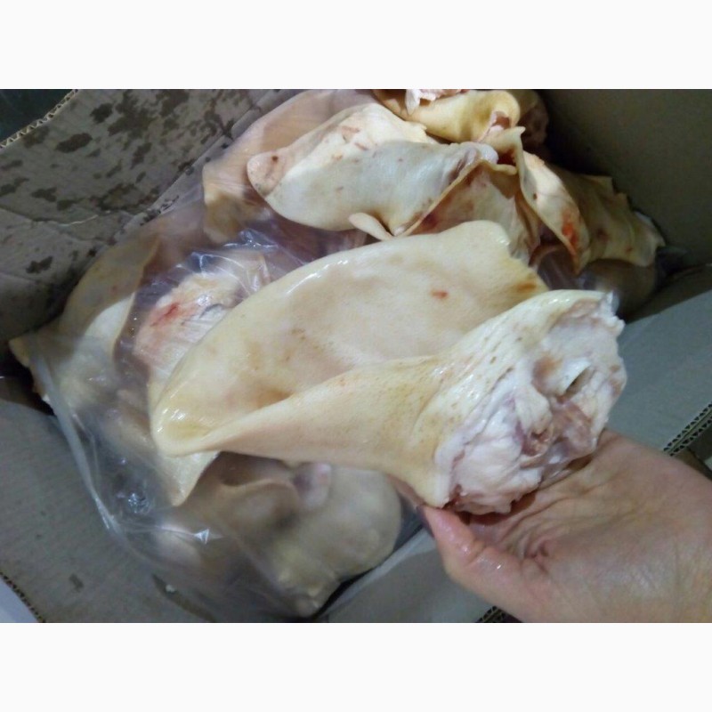 Фото 8. ООО« Амтек Трейд» предлагает замороженные свиные уши и хвосты