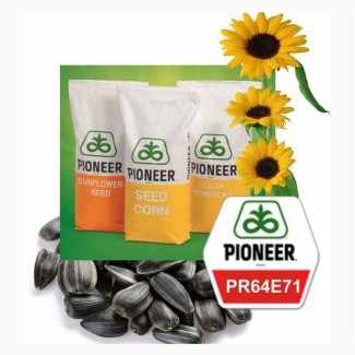 Семена подсолнечника Пионер PR64E71 Распродажа 2016 года урожая, Одесская обл