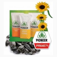 Семена подсолнечника Пионер PR64E71 Распродажа 2016 года урожая, Одесская обл