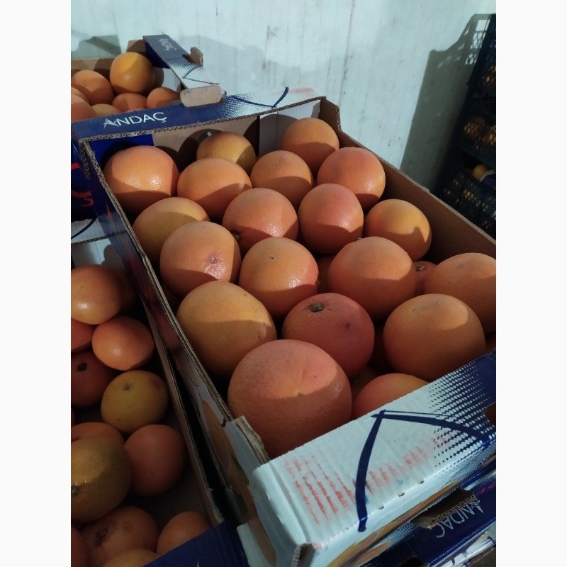 Фото 6. Апельсин та Грейфрут (грейпфрут) від імпортера / грей (грейпфрут) и апельсин от импортера