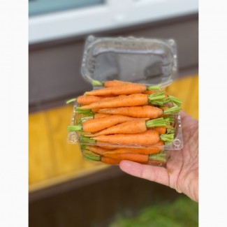 Продам морковь (болтекс, виталонга, витаминная, Аленка)