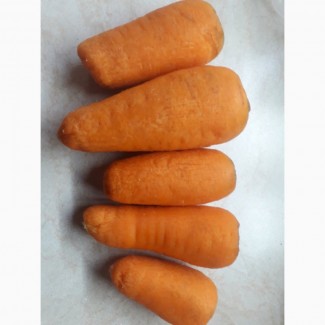 Морква чищена
