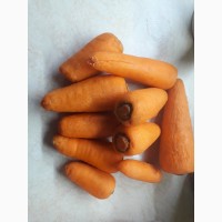 Морква чищена