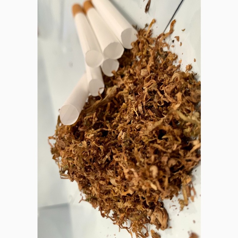 Фото 2. Маю домашній сорт табака з насіння селекційного. Берлі, дюбек, мілєніум