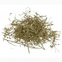 Полынь горькая (трава) фасовка от 100 грамм - 1 кг