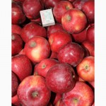 Продам товарные яблоки 80 тонн