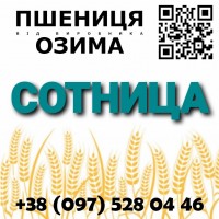 Элитные семена озимой пшеницы Сотница от производителя в Харьковской области, Агротрейд