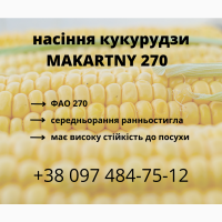 Насіння кукурудзи MAKARTNY 270