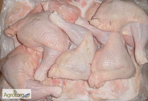 Фото 2. Продам мясо курицы и субпродукты (замороженные, охлажденные)