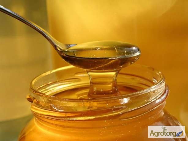 Фото 2. Майский мёд с разнотравьем, оптом 200кг по 65грн/кг