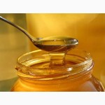 Майский мёд с разнотравьем, оптом 200кг по 65грн/кг