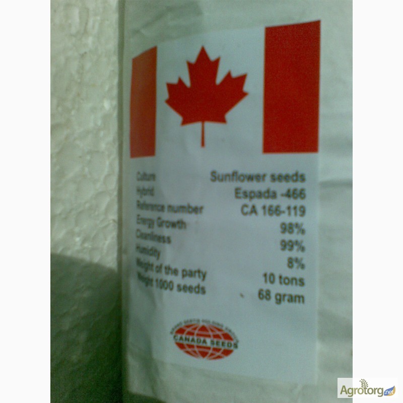 Фото 2. Канадский гибрид масличного подсолнечника ESPADA - 466