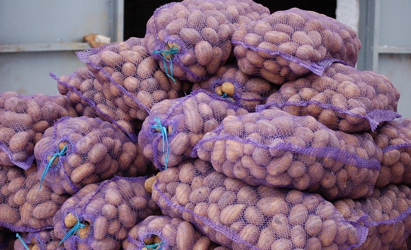 Фото 2. Продам картофель оптом по всей Украине, все сорта, качество 5