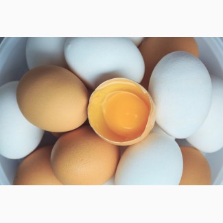 Продам яйца куриные от производителя. Крупный, мелкий опт