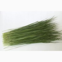 Зубровка (трава) 1 кг
