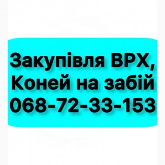 Проводимо Заготівлю ВРХ, Коней (Територія Калинівського району)