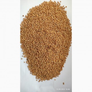 Продам просо жёлтое (Panicum miliaceum)- 900т., б/н или $, производитель