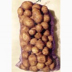 Продам качественный картофель оптом - на экспорт
