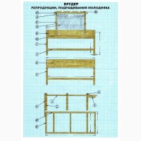 Гастрономическая улитка. Организация фермы. Технологии, оборудование, проектирование