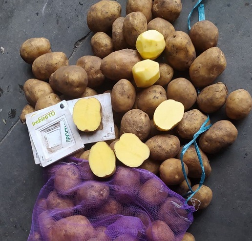 Фото 2. Продам картофель от производителя собственного производства