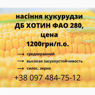 Продам насіння кукурудзи ДБ ХОТИН ФАО 280
