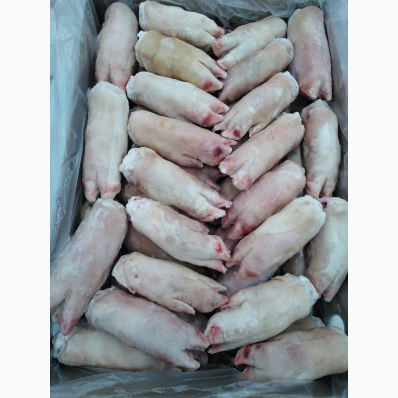 Фото 7. ООО « Амтек Трейд» предлагает замороженные свиные ноги