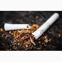 Табак наилучшего качества (от 560 грн./кг.)