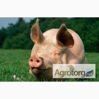 Финиш БМВД 12% для свиней ( 50-105 кг) СТАНДАРТ линия Фидлайн