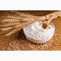 Компания производитель оптом продает муку пшеничную в/с, 1/с, 2/с от 5/ т