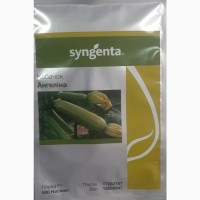 Продам семена кабачка Ангелина F1 (Syngenta) 500 шт/уп