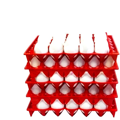 Фото 3. Пластиковые лотки для куриных, утиных, индюшиных яиц, ящики и системы для перевозки яиц