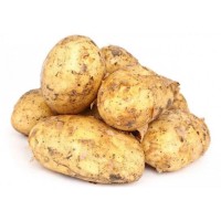Продам оптом молоду картоплю, всі області України