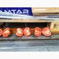 Продам турецкий помидор СРОЧНО