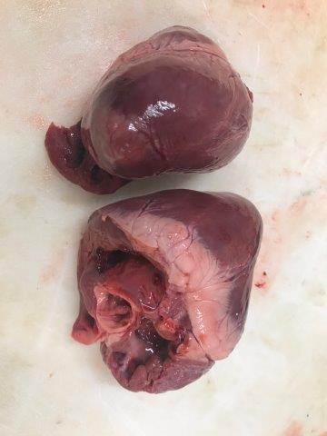 Фото 2. Серце свинне/ Сердце свиное. Субпродукти свинні. ОПТ