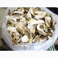 Продам сушені гриби із закарпаття