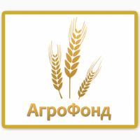 Висівки пшеничні гранульовані для КРС, Порт (FOB), (CPT)
