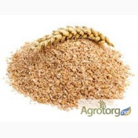 Отруби пшеничные на экспорт