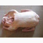 Продам мясо домашней нежирной утки