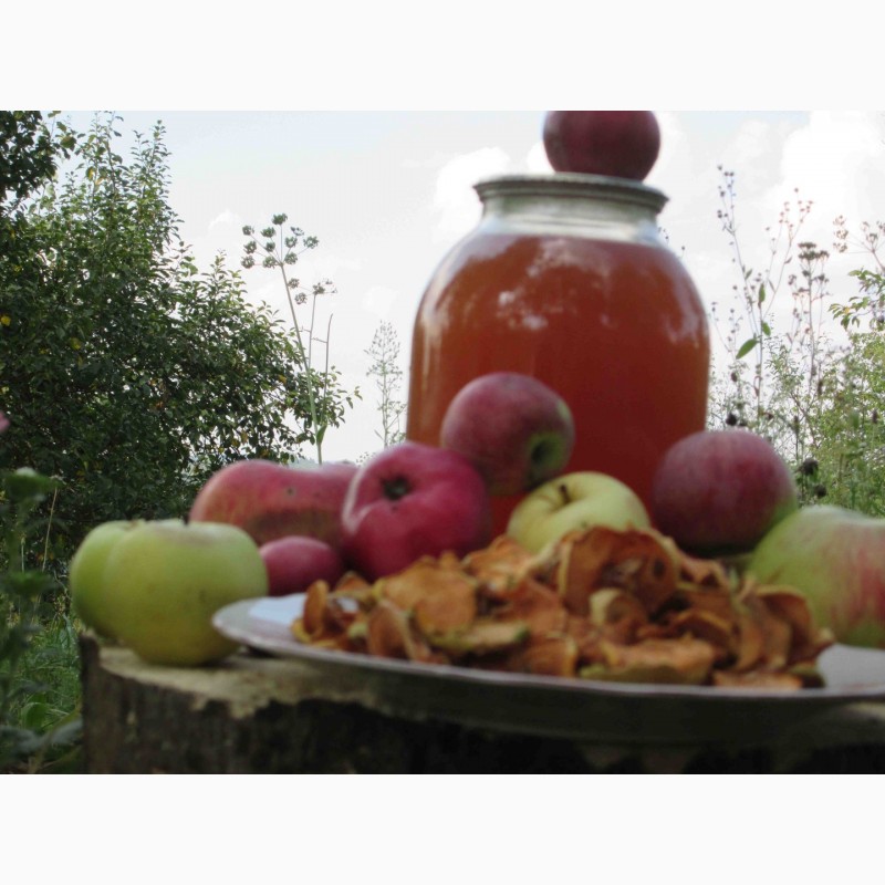 Фото 2. Сок яблочный домашний с горного сада Карпат