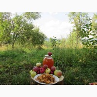 Сок яблочный домашний с горного сада Карпат
