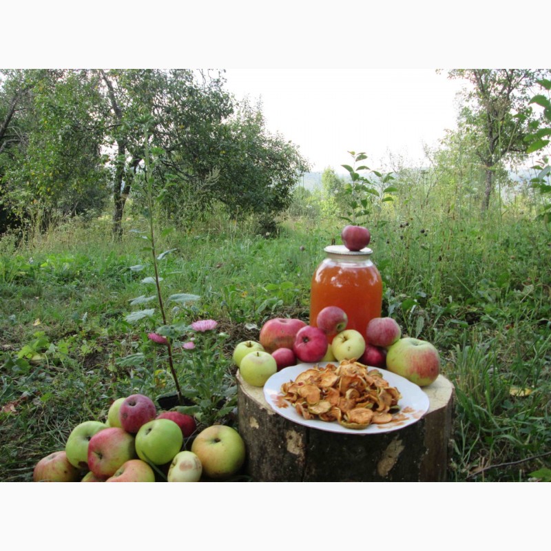 Фото 5. Сок яблочный домашний с горного сада Карпат