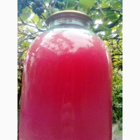 Продам Виноградный 100% сок Лидия Розовая, Изабелла в Луганске