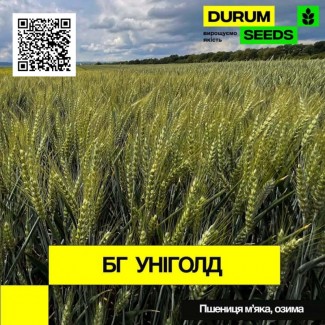 Насіння пшениці BG Unigold (озима / остиста) Durum Seeds
