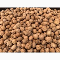 The company offers walnuts for export